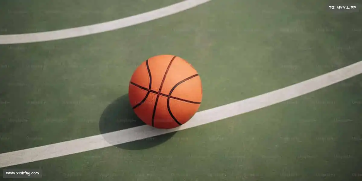 行业领先的理由